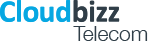 Cloudbizz Telecom